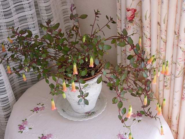 a0123003_18222058.jpg