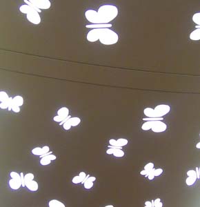 e0032514_133074.jpg
