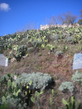 f0133814_22471161.jpg