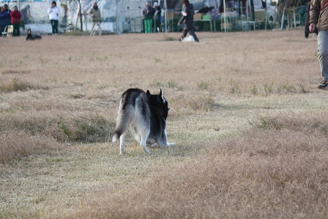 f0163116_21524760.jpg