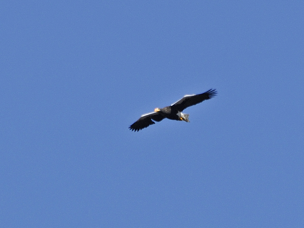 c0018118_23522619.jpg