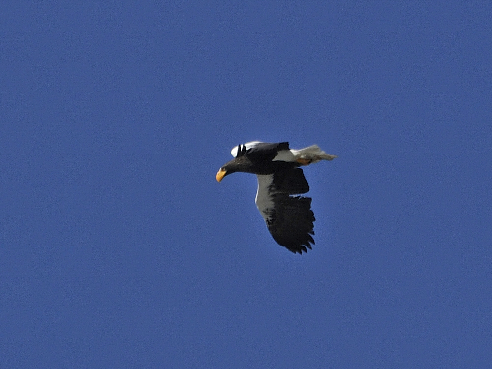 c0018118_23542537.jpg