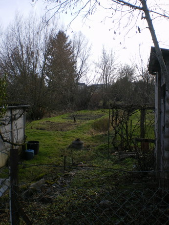 c0124619_835386.jpg