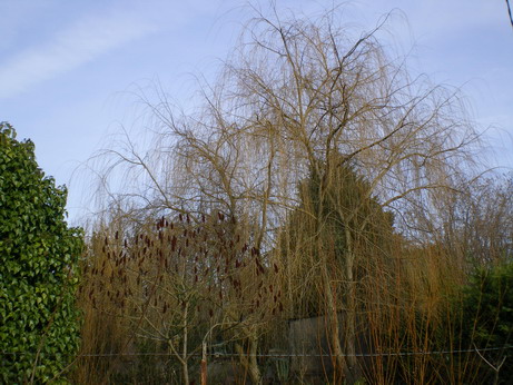 c0124619_8363188.jpg