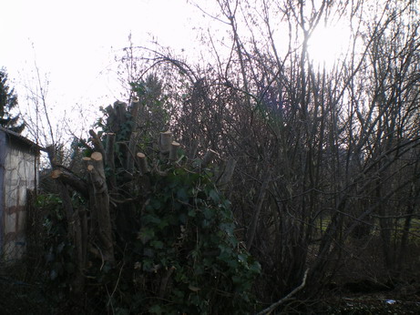 c0124619_836521.jpg