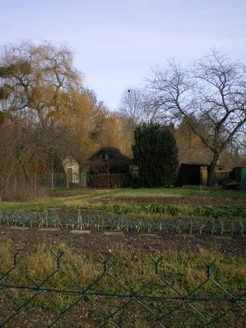 c0124619_8365291.jpg