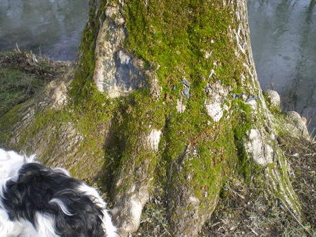 c0124619_8384721.jpg