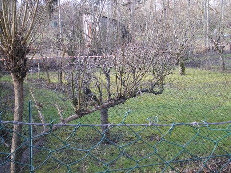 c0124619_839155.jpg