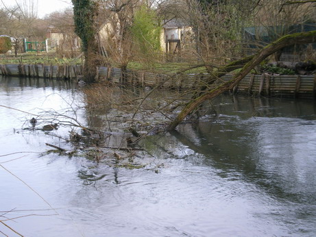 c0124619_8442635.jpg