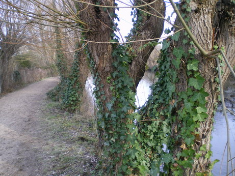 c0124619_8444640.jpg