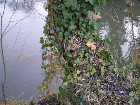 c0124619_8465595.jpg