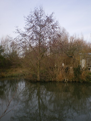 c0124619_8583425.jpg