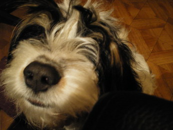 c0124619_972862.jpg