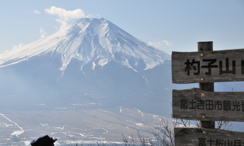 今年も登った、富士山を眺める山（後編）_c0062621_9225995.jpg