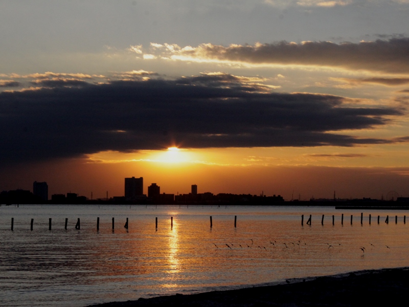 2010年1月23日　先日の船橋三番瀬　大好きな海・光・野鳥・夕陽  素晴らしさの連続でした　in Chiba_d0129921_1853479.jpg