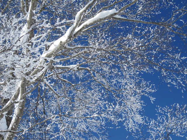 c0141223_10241729.jpg