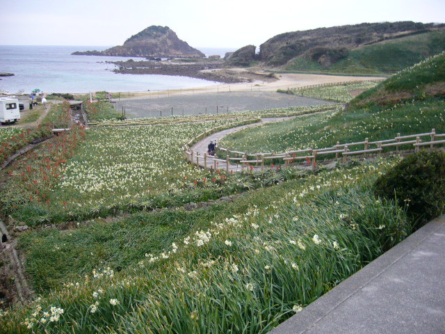 d0000324_15174859.jpg