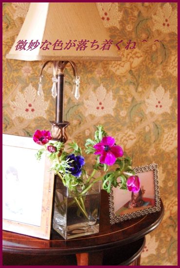 ぽかぽか♪玉ねぎとわかめの豆板醤ジンジャースープ_d0104926_2483692.jpg