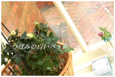 ぽかぽか♪玉ねぎとわかめの豆板醤ジンジャースープ_d0104926_248569.jpg