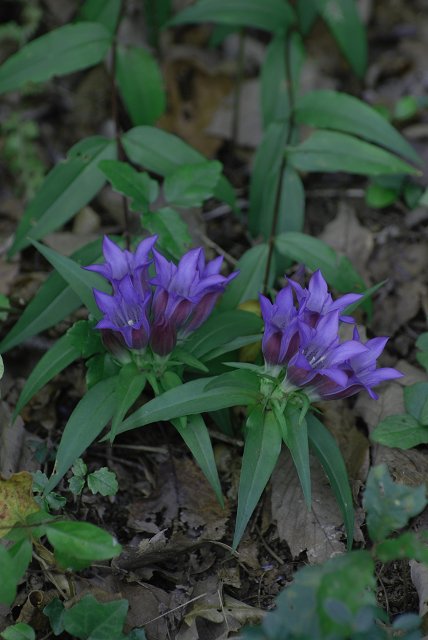 c0027027_03042.jpg