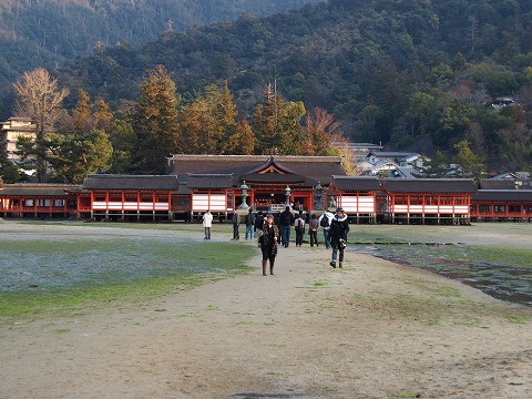 宮島_c0077531_13465252.jpg