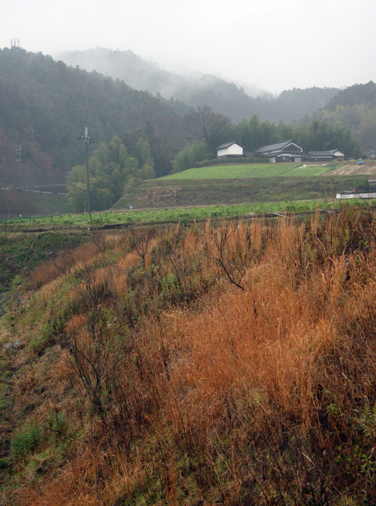 明日香　八釣（やつり）　雨情_c0108146_22351372.jpg