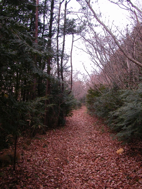 b0180352_12356.jpg