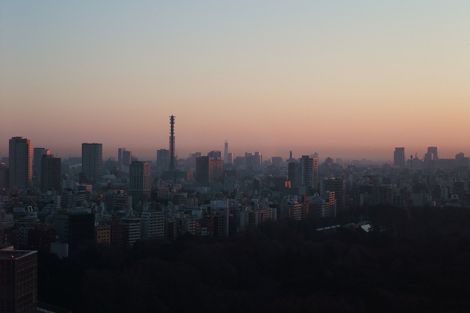 やっぱり東京は都会だった_b0123359_1156308.jpg