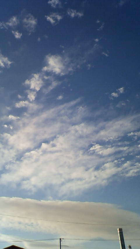 e0184077_8333416.jpg