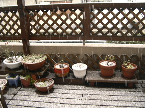 c0085188_16235087.jpg