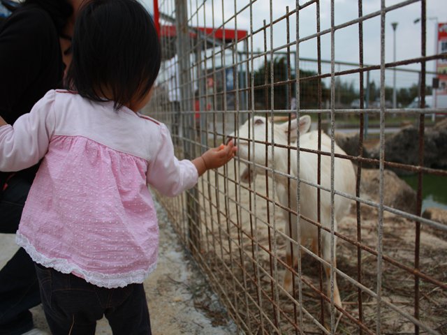 a0023189_16213254.jpg