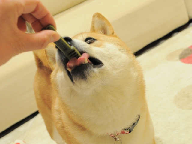 昨日より今日、今日より明日。_a0126590_6471254.jpg