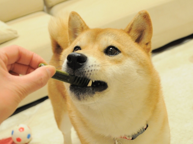 昨日より今日、今日より明日。_a0126590_6472099.jpg