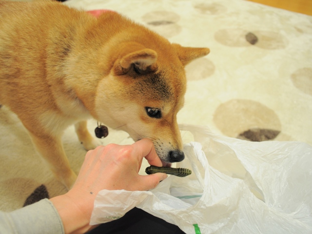 昨日より今日、今日より明日。_a0126590_6473514.jpg