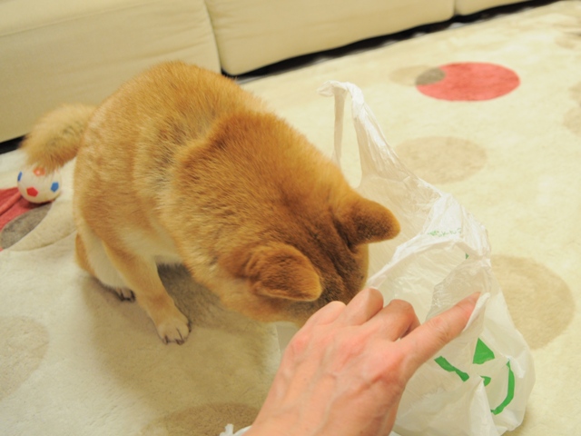 昨日より今日、今日より明日。_a0126590_6474177.jpg