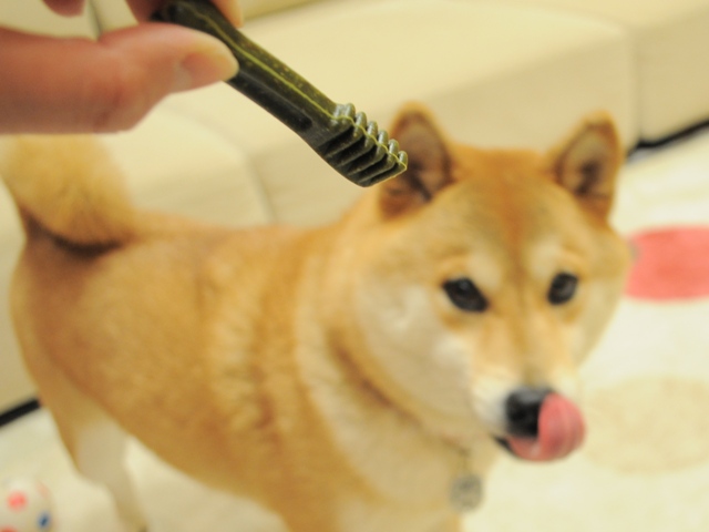 昨日より今日、今日より明日。_a0126590_647731.jpg