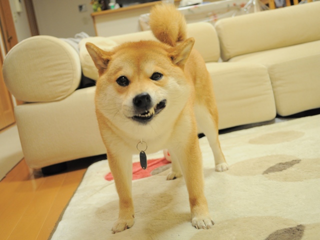 昨日より今日、今日より明日。_a0126590_649165.jpg