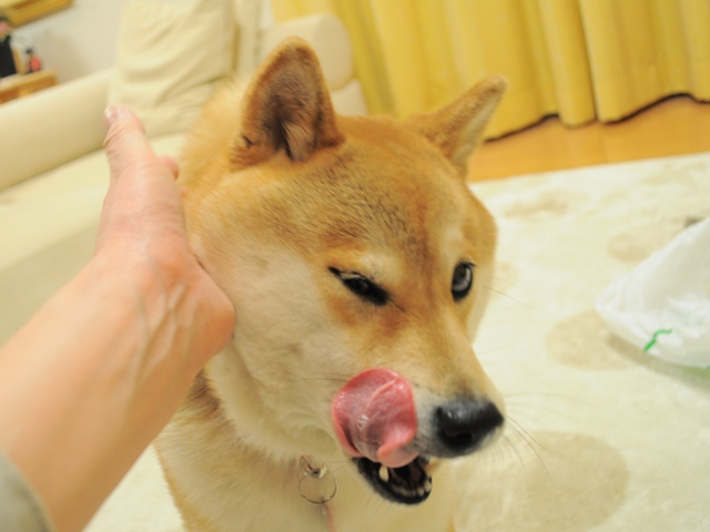 昨日より今日、今日より明日。_a0126590_6491674.jpg