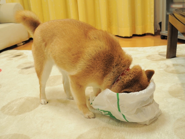 昨日より今日、今日より明日。_a0126590_649934.jpg