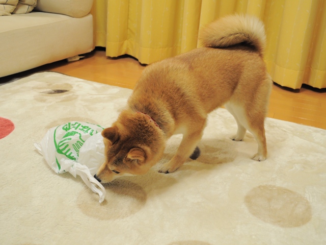 昨日より今日、今日より明日。_a0126590_7353625.jpg