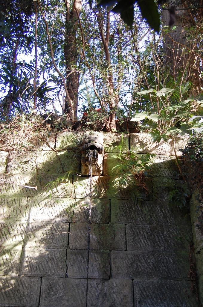 b0054391_13435128.jpg