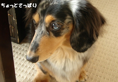 f0195891_1632244.jpg