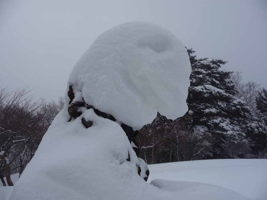 姫見平の住人_c0223095_15579.jpg