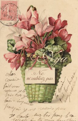 La carte de cyclamen_f0139397_1891235.jpg