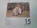 犬のカレンダー_c0133298_2102460.jpg