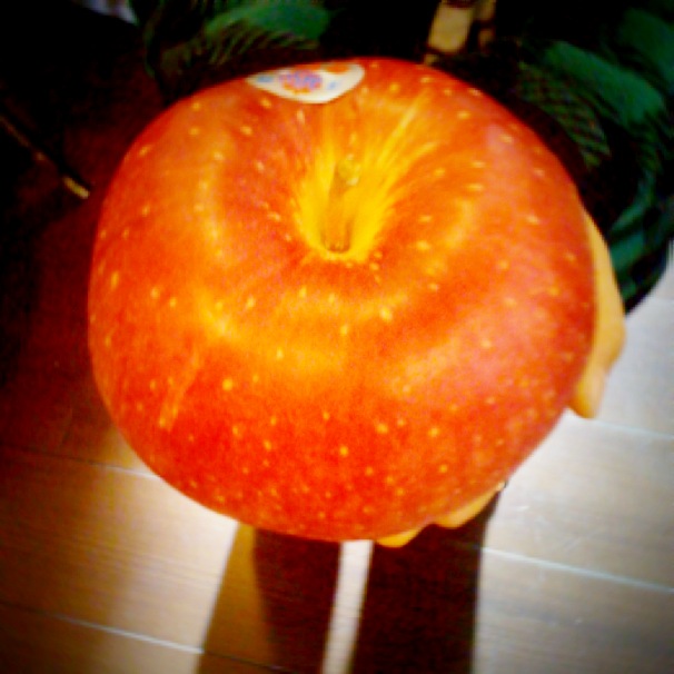 でっかいリンゴ 世界一 Vegefru Talk でっかいリンゴ 世界一 Vegefru Talk