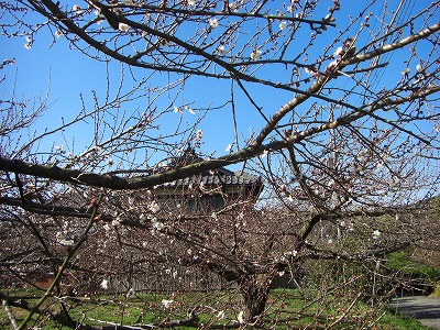 c0125501_23262616.jpg