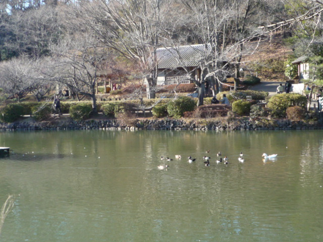 f0101201_2145346.jpg
