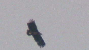 c0059002_2340206.jpg