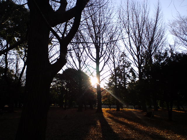 a0088007_32422.jpg